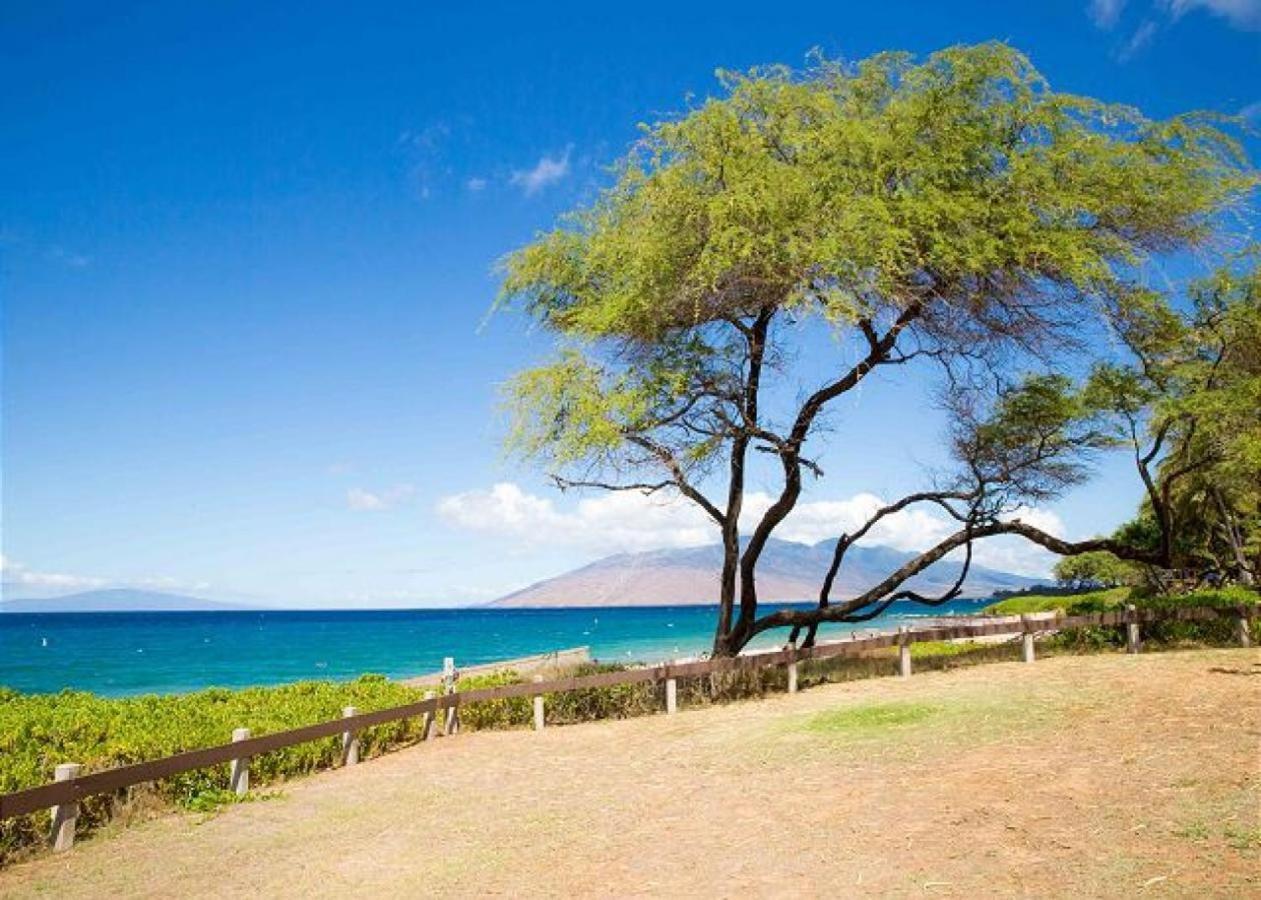 Hale Kamaole 213 Villa Wailea  Buitenkant foto